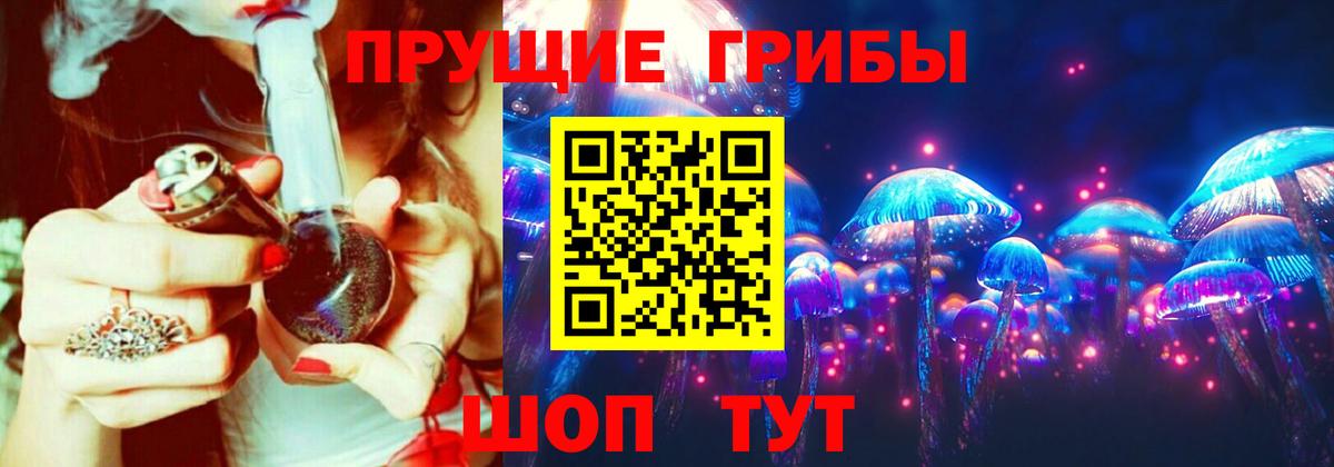 Артёмовский  Псилоцибиновые грибы Psilocybe  Вход с VPN  Псилоцибиновые грибы мицелий 