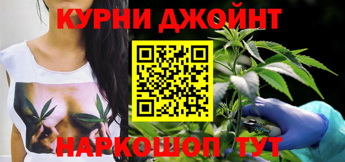 Конопля планчик Артёмовский